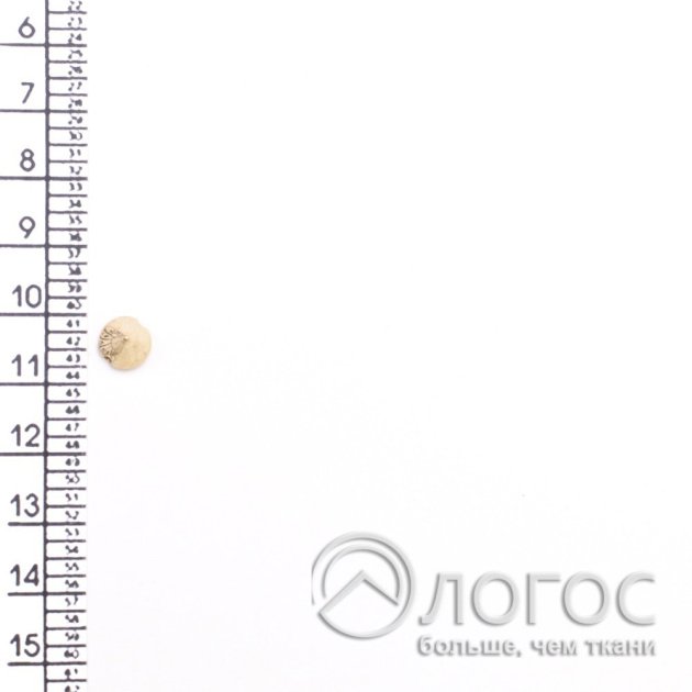 00407889-2