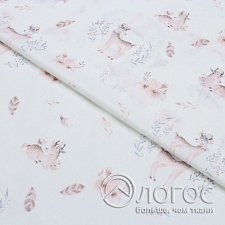 00953041