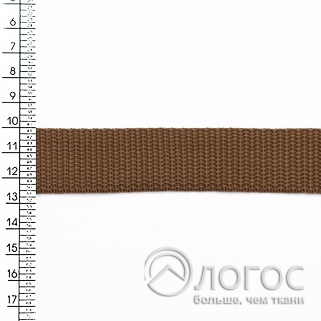 00950601