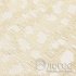 00924519-2