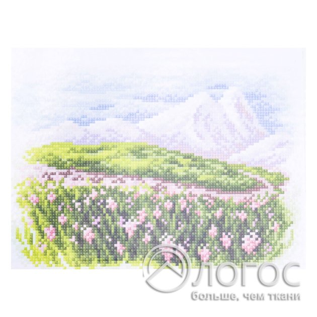 00943707