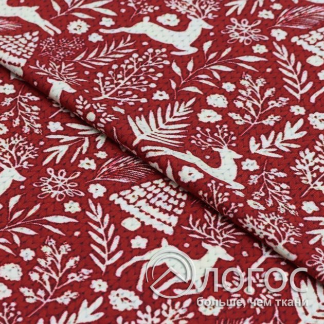 00946436