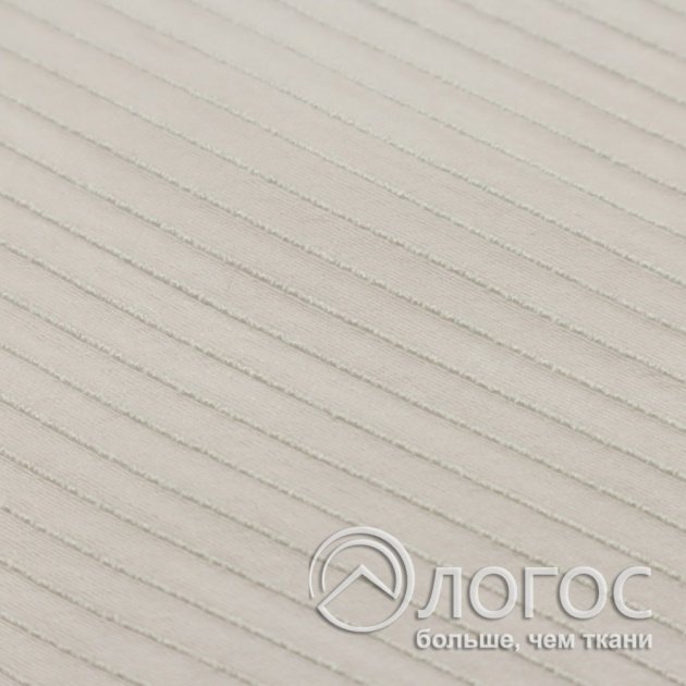 00930519-2