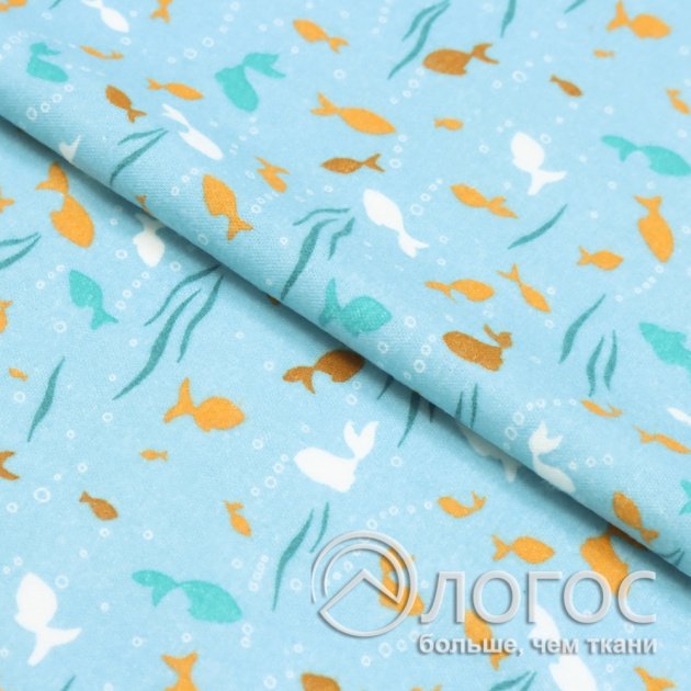 00953039