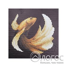 00943714