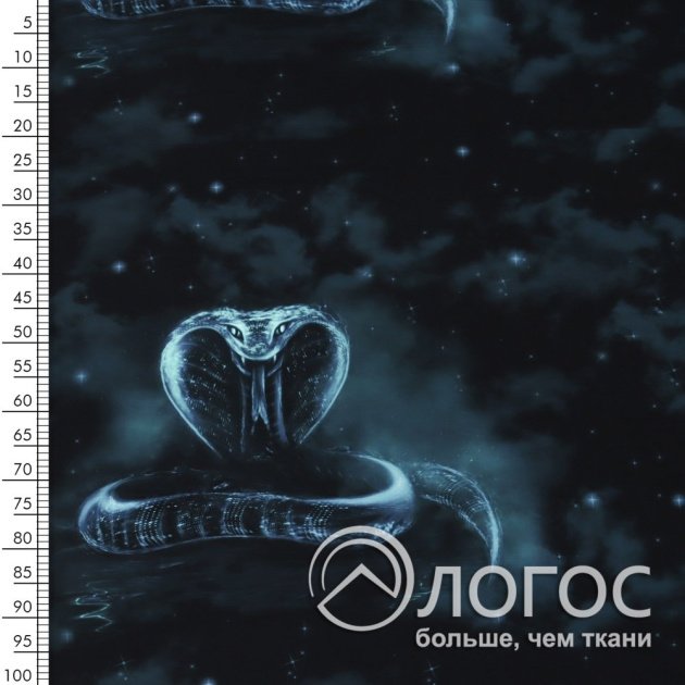 00935307-5